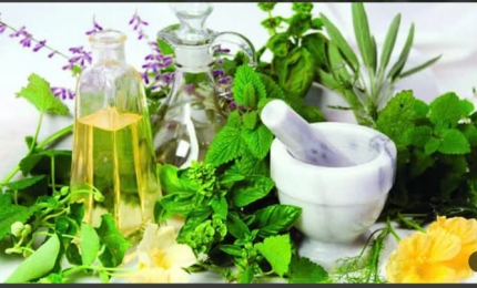 Xông hơi thảo dược thiên nhiên giúp tăng cường sức khỏe, thanh lọc cơ thể và thư giãn tinh thần