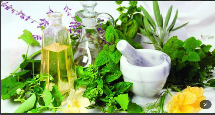 Xông hơi thảo dược thiên nhiên giúp tăng cường sức khỏe, thanh lọc cơ thể và thư giãn tinh thần